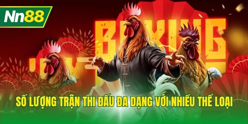 Số lượng trận thi đấu đa dạng với nhiều thể loại